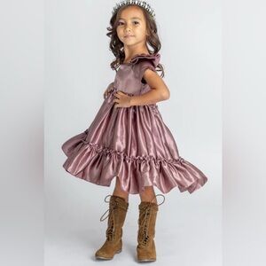 NWT Joyfolie Mia Joy Toddler, Girl Rory Mauve Party Dress, Sz 3,4.
